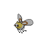 Dark Cutiefly